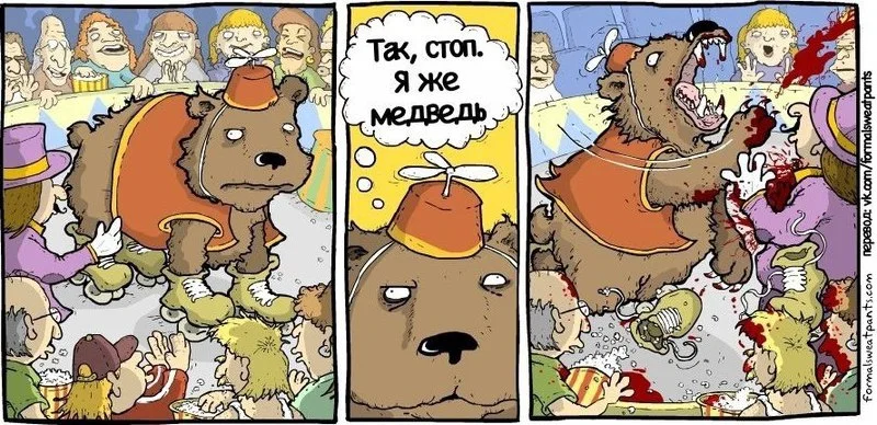 Изображение к публикации