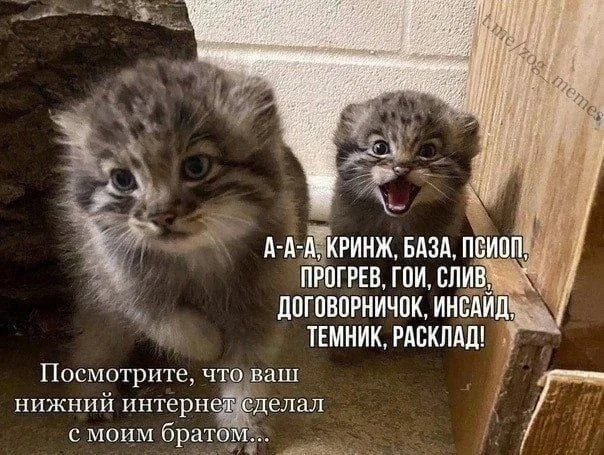Изображение к публикации