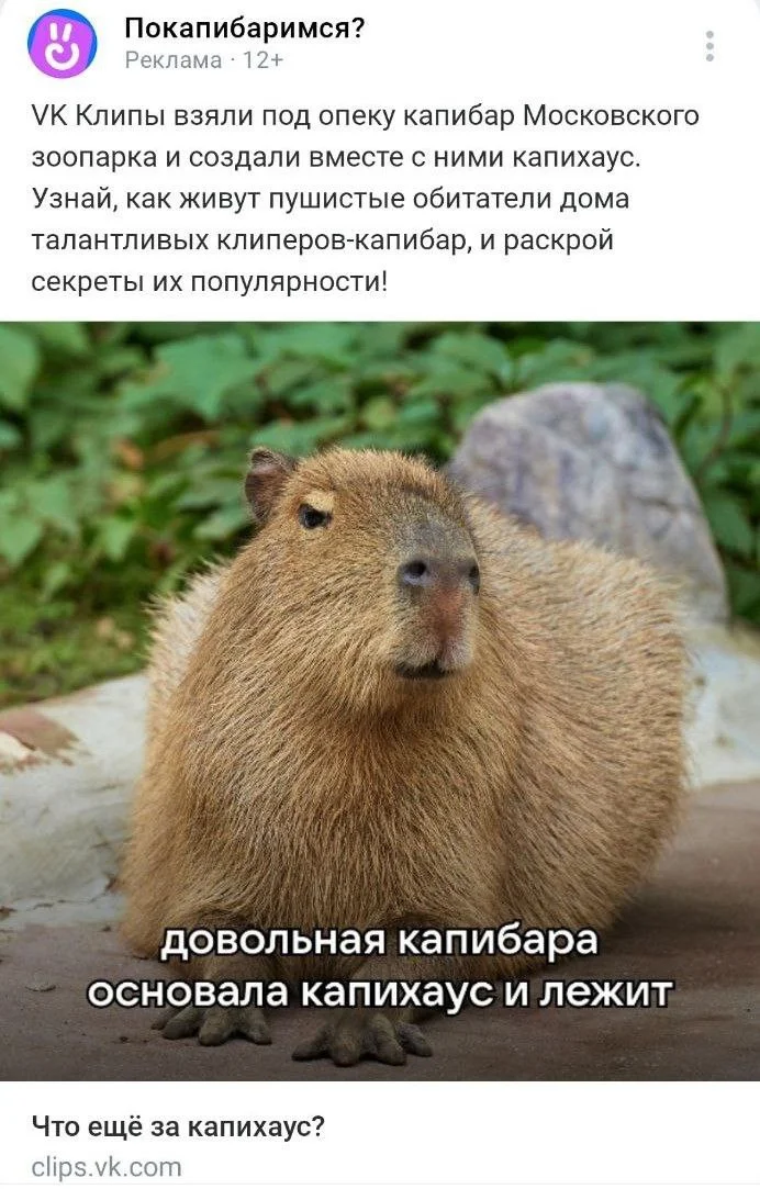 Изображение к публикации