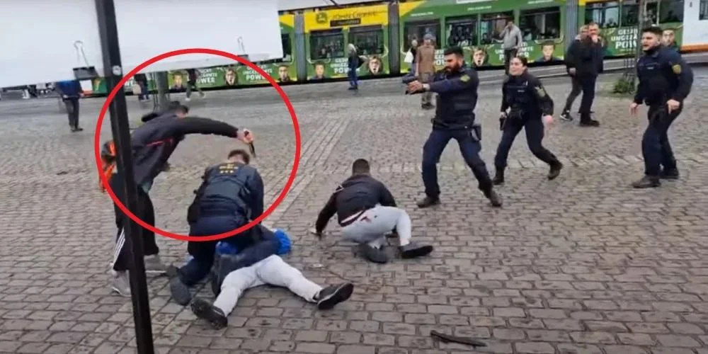 Изображение к публикации