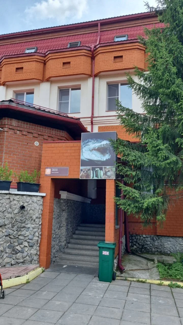 Изображение к публикации
