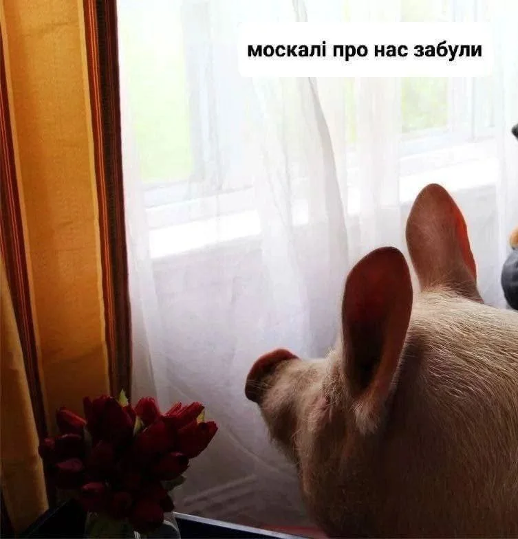 Изображение к публикации