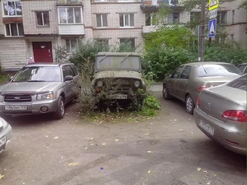 Изображение к публикации