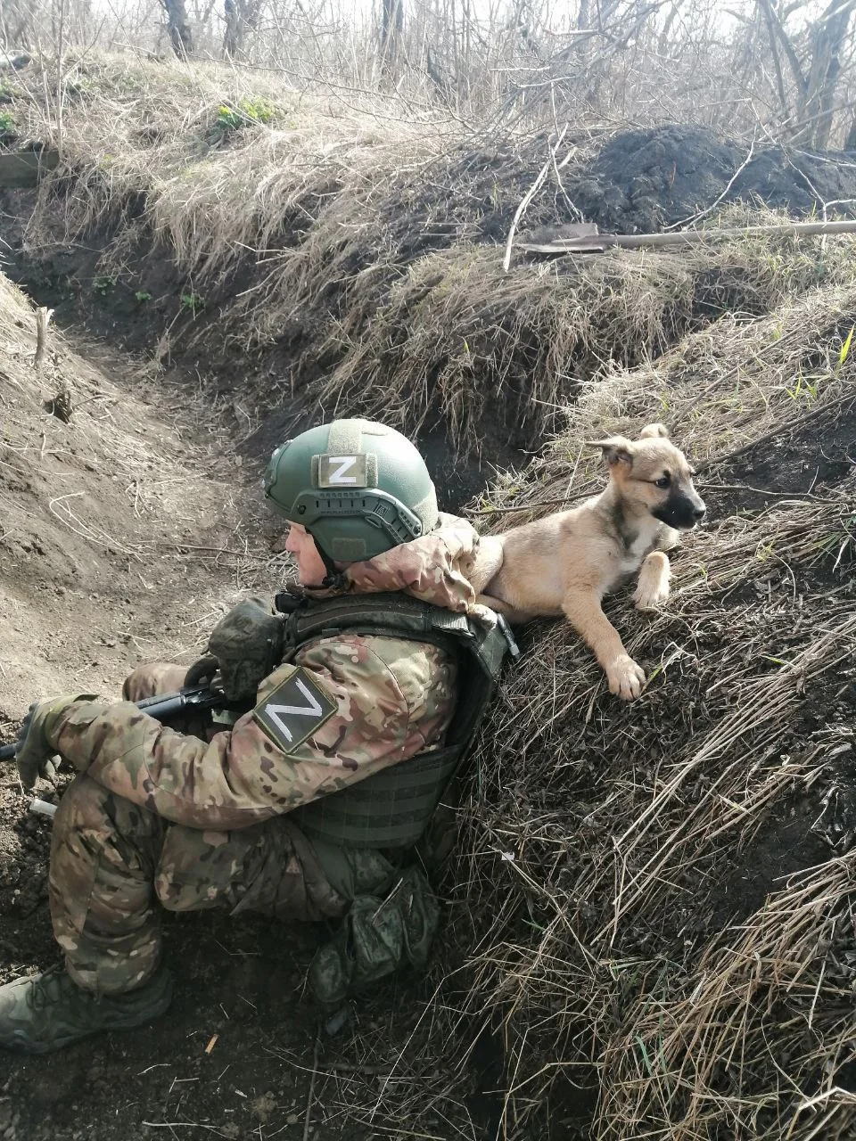 Изображение к публикации