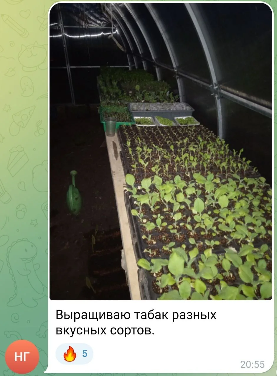 Изображение к публикации