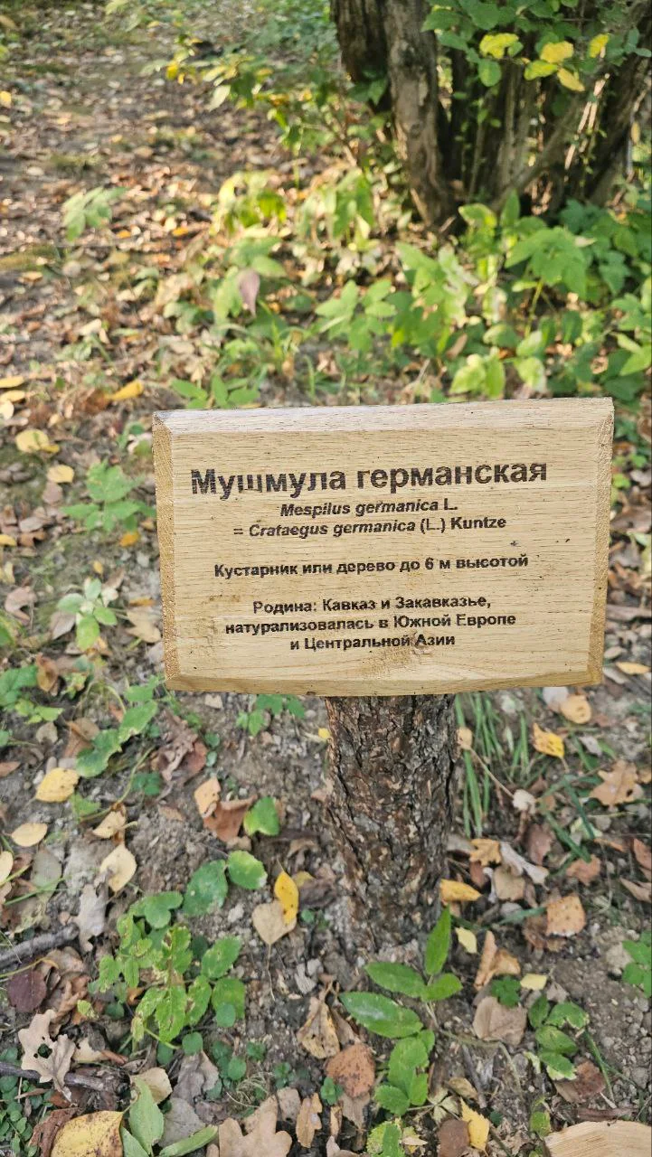 Изображение к публикации