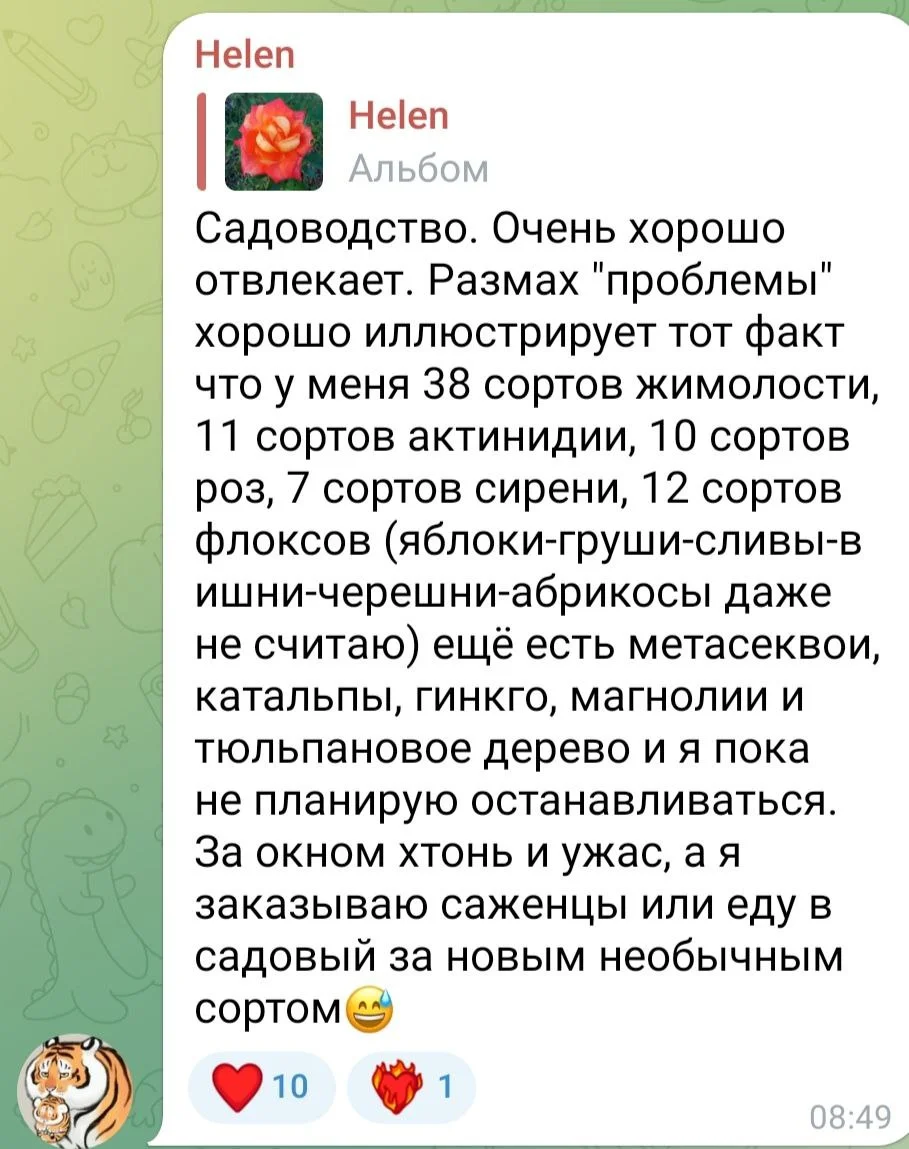 Изображение к публикации
