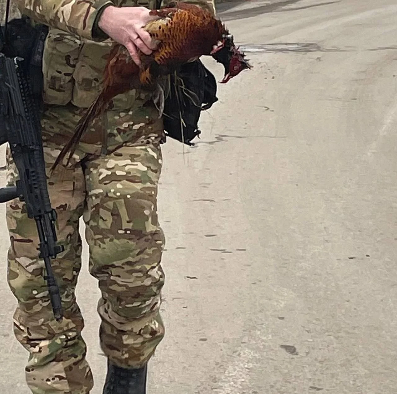 Изображение к публикации