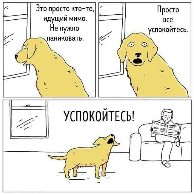 Изображение к публикации