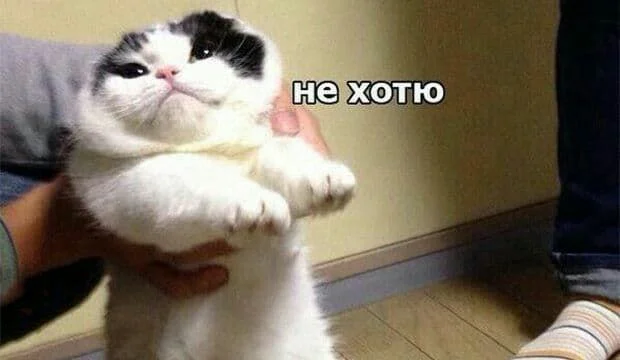 Изображение к публикации