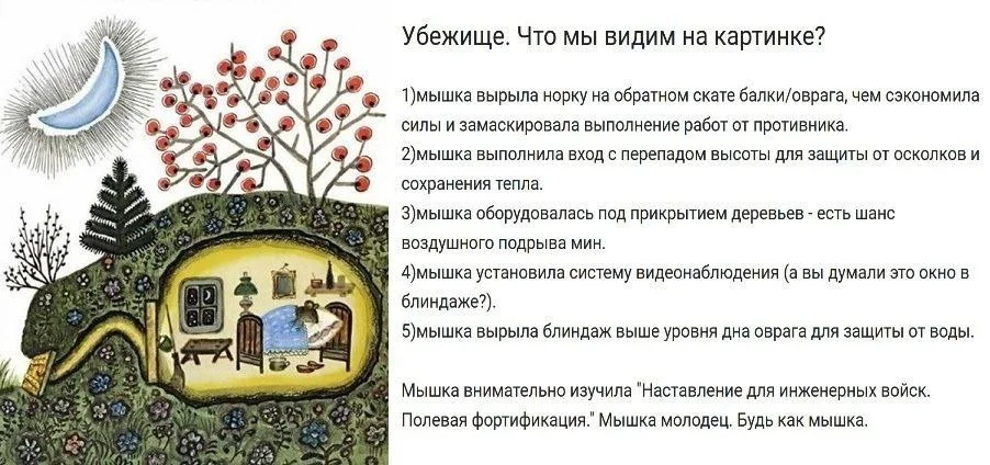 Изображение к публикации