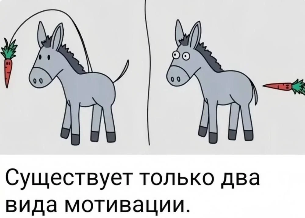 Изображение к публикации