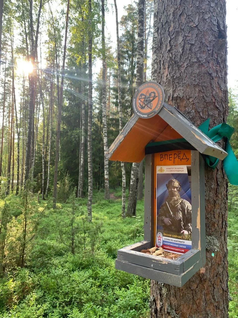 Изображение к публикации