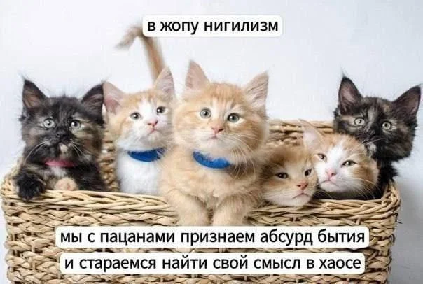 Изображение к публикации
