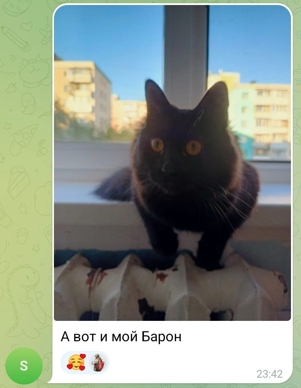 Изображение к публикации