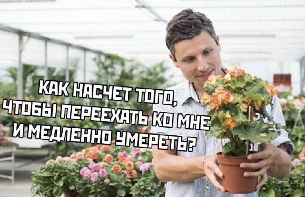 Изображение к публикации