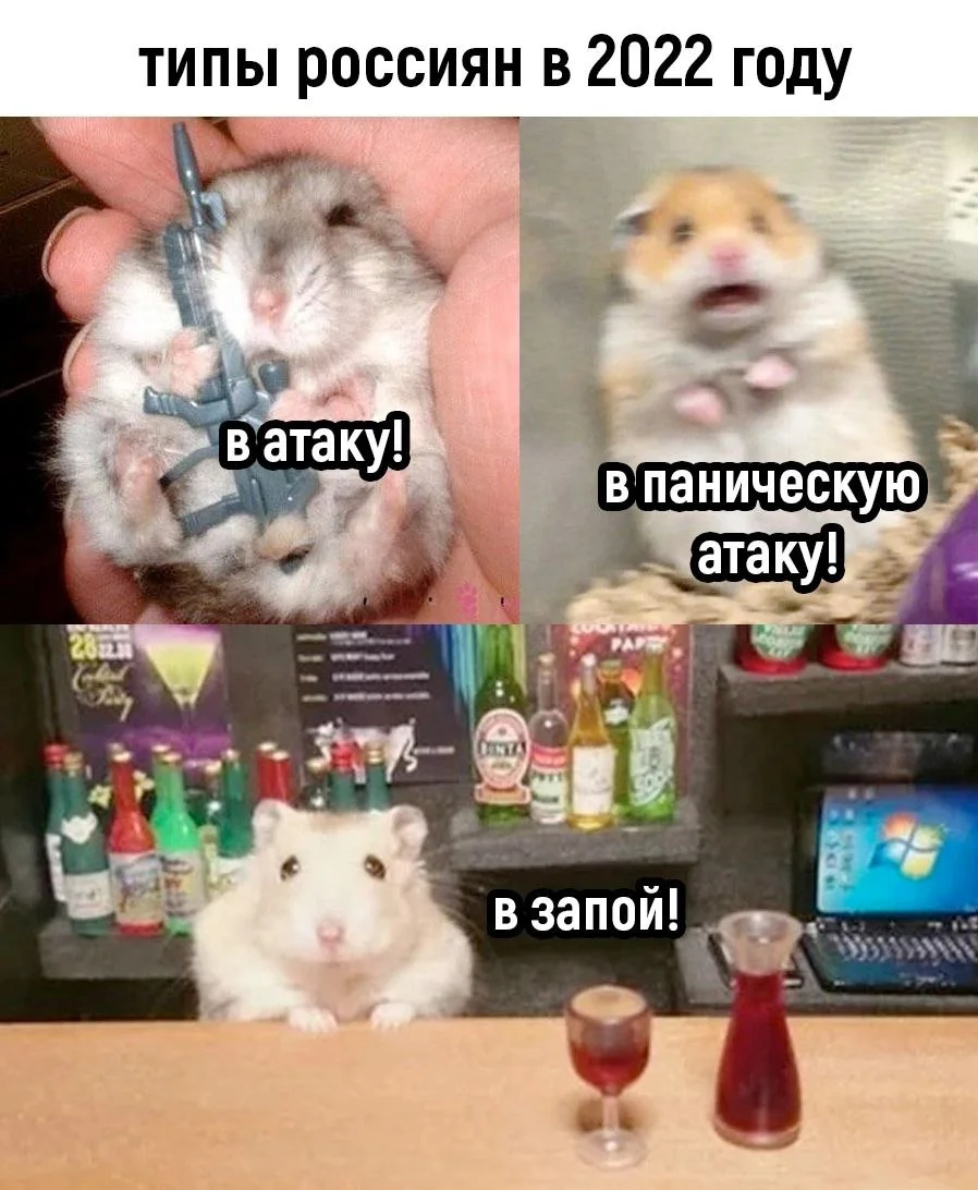 Изображение к публикации