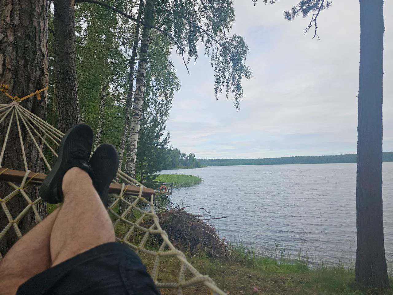 Изображение к публикации