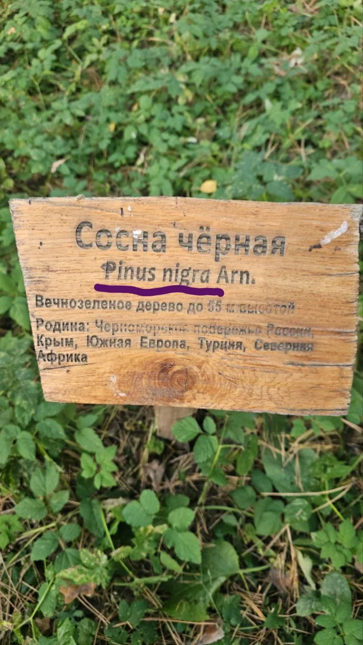 Изображение к публикации