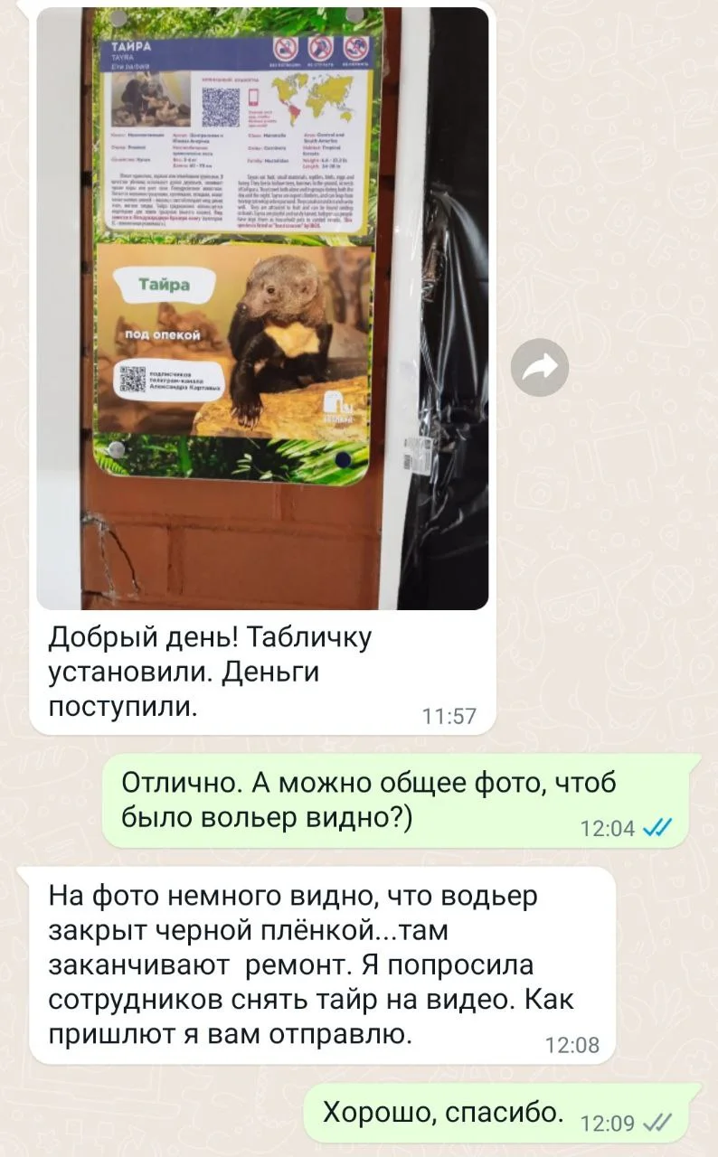 Изображение к публикации