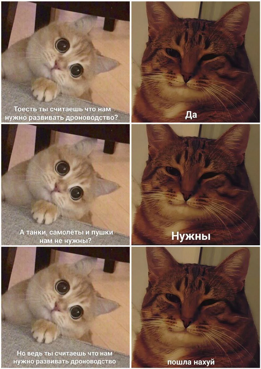 Изображение к публикации