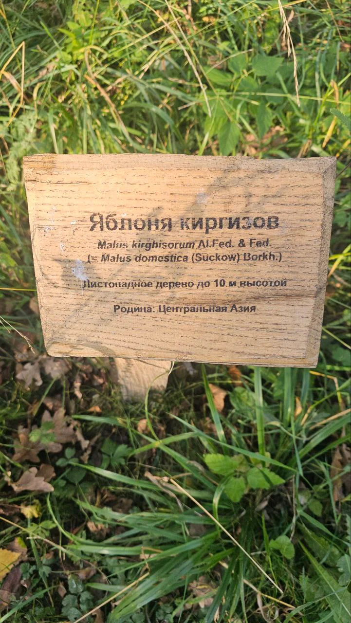 Изображение к публикации