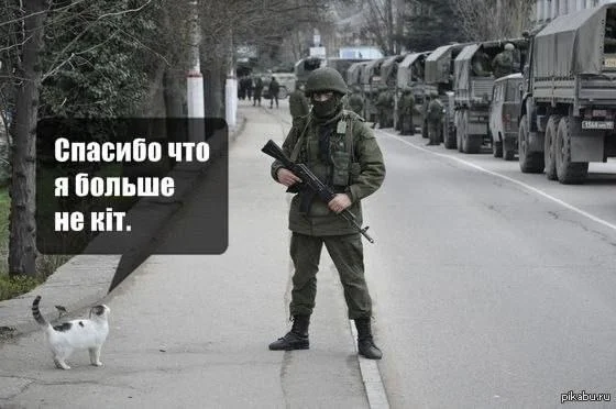 Изображение к публикации