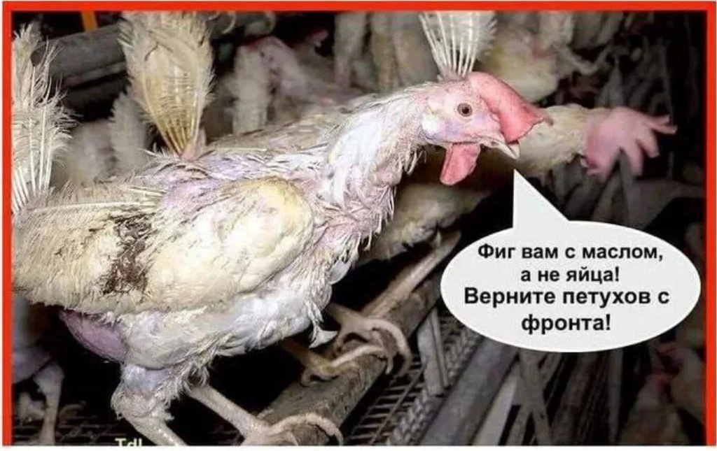 Изображение к публикации