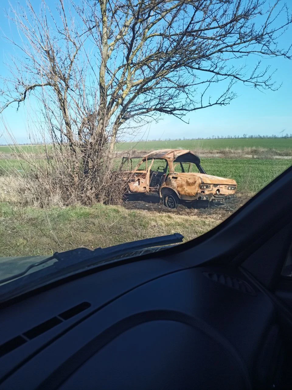 Изображение к публикации