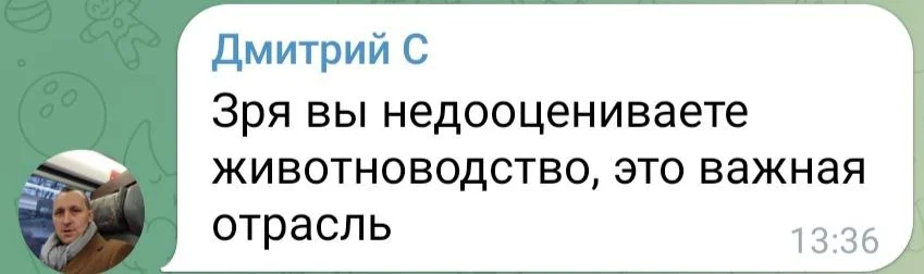 Изображение к публикации