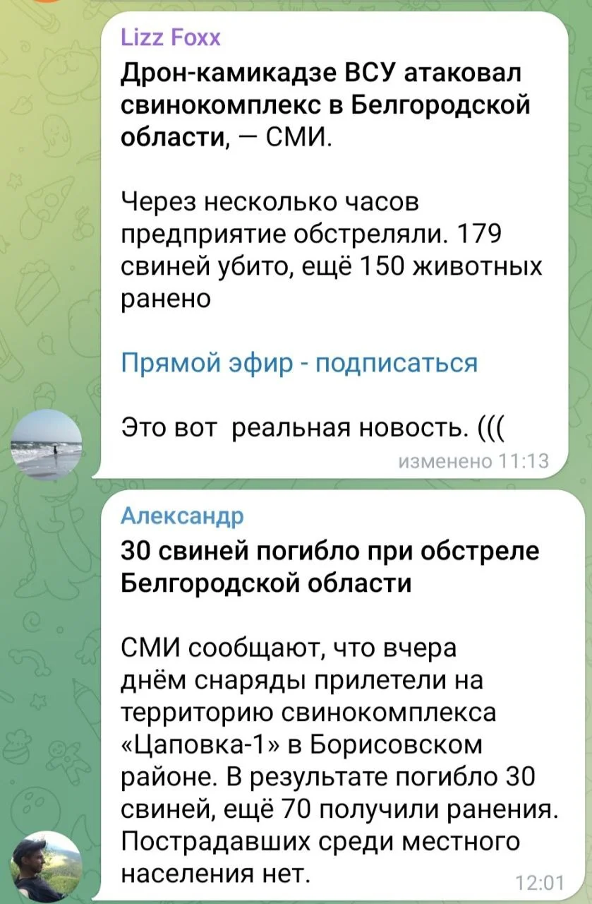Изображение к публикации