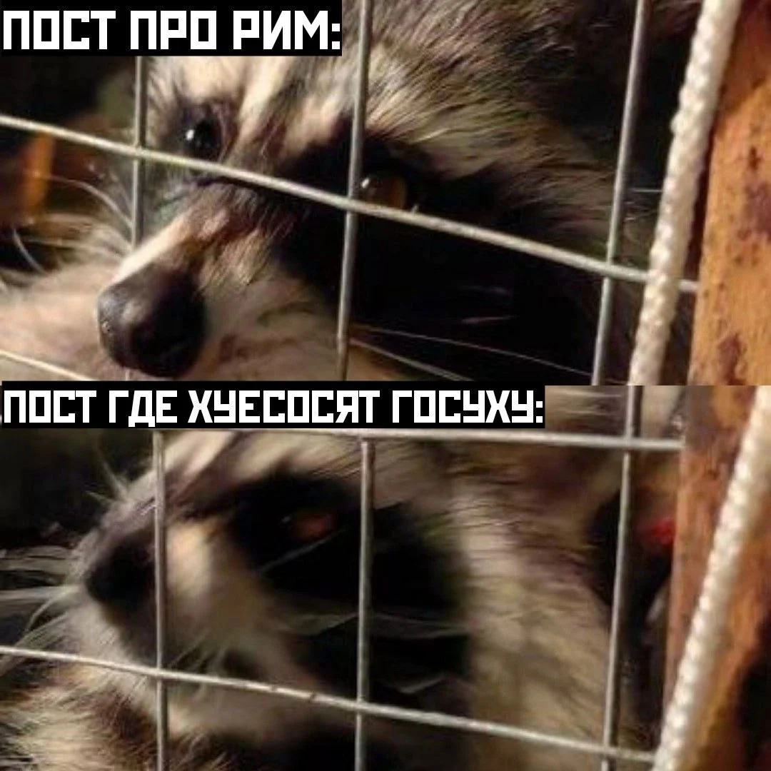 Изображение к публикации