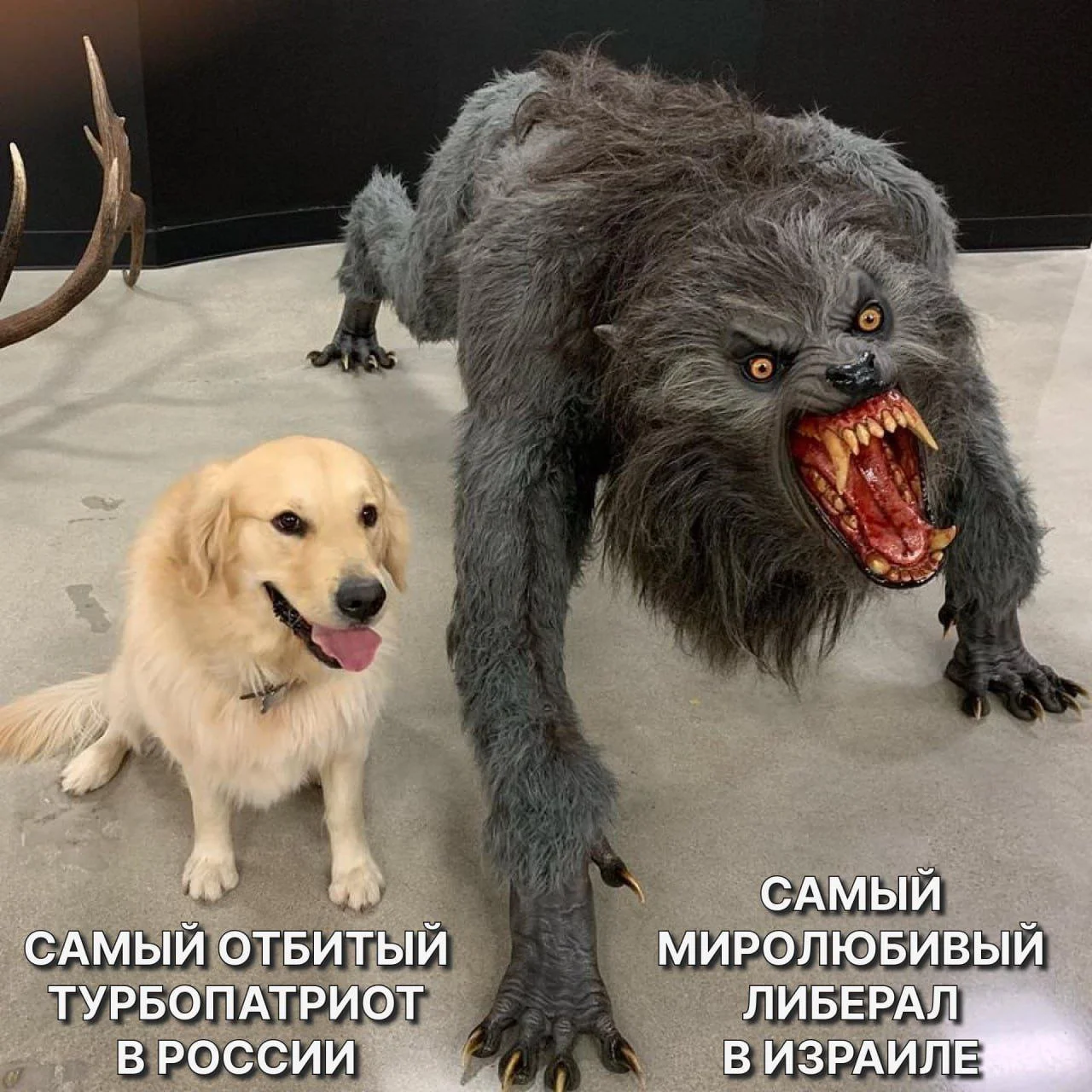 Изображение к публикации
