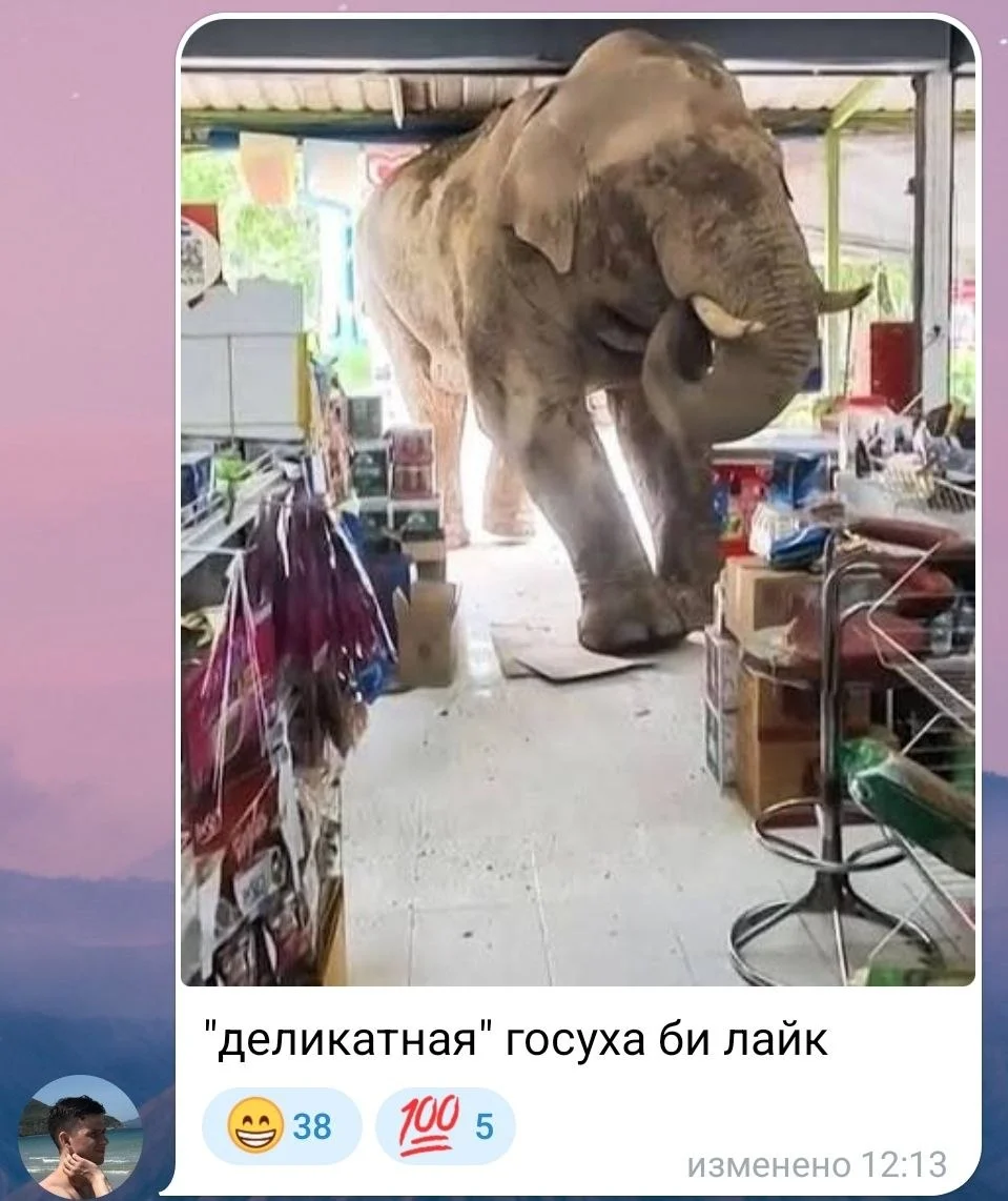 Изображение к публикации