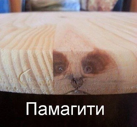 Изображение к публикации