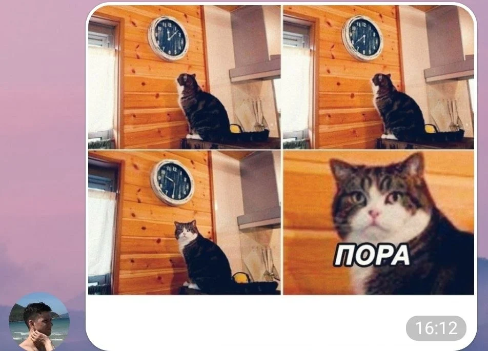 Изображение к публикации