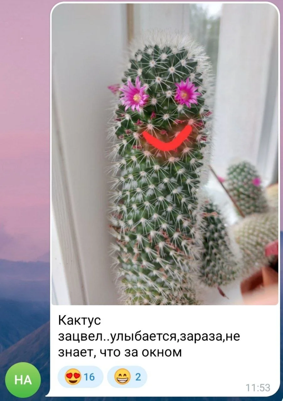 Изображение к публикации