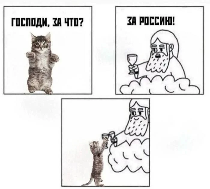 Изображение к публикации