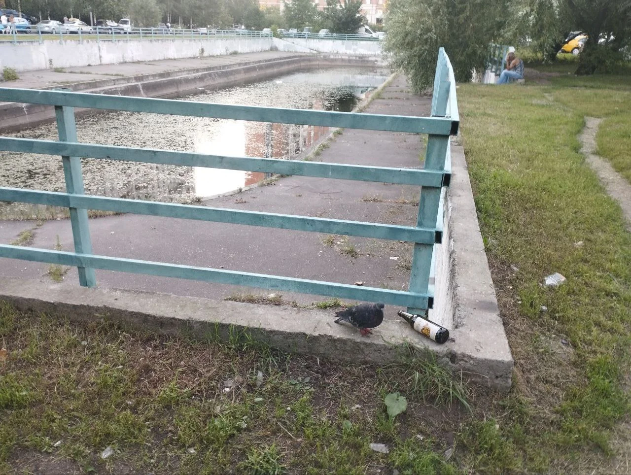 Изображение к публикации