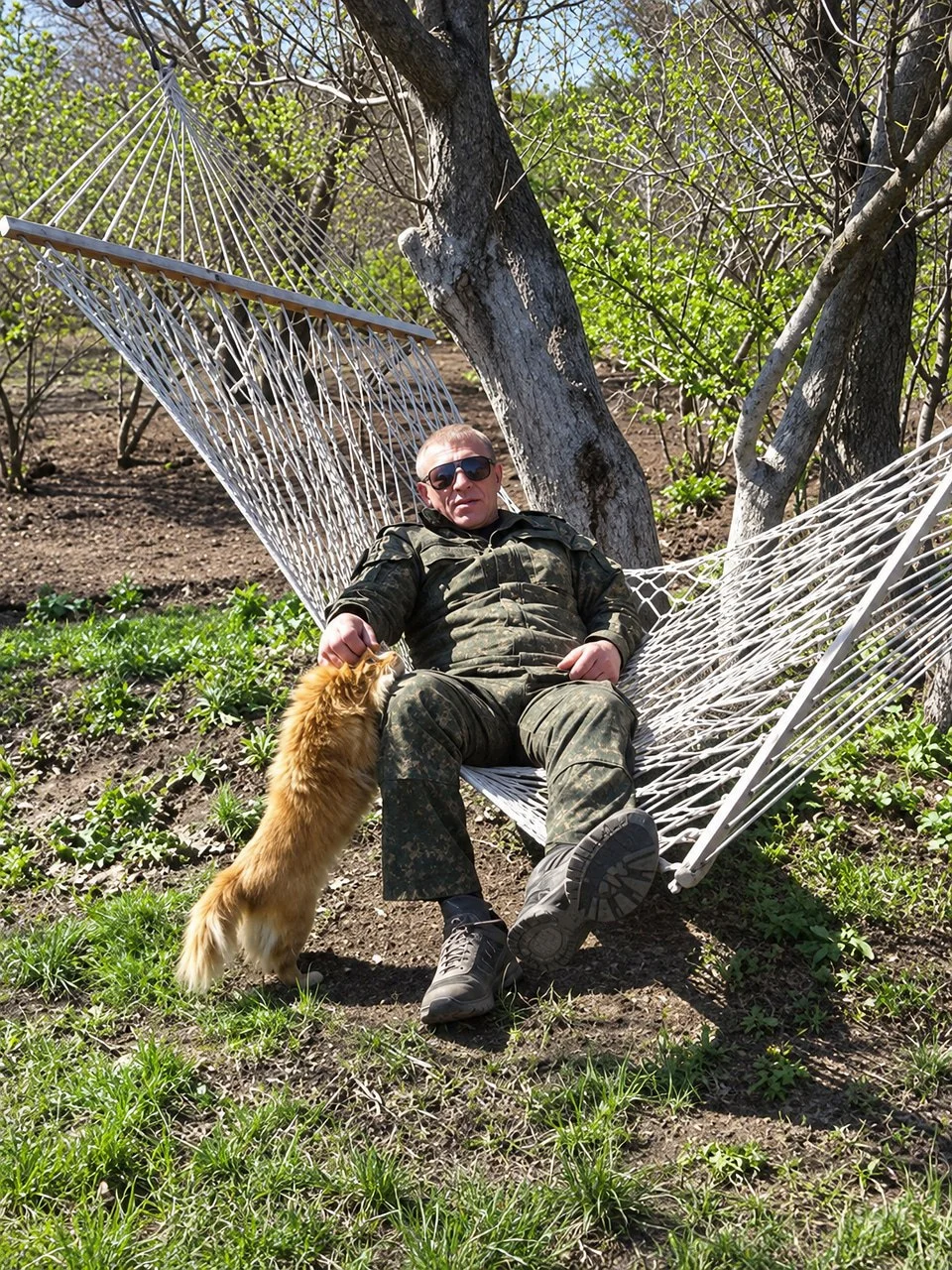 Изображение к публикации